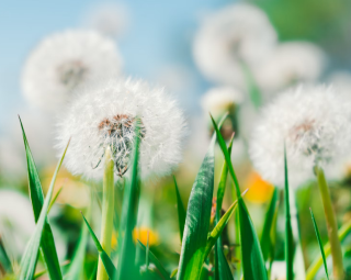 Уникальное двойное действие